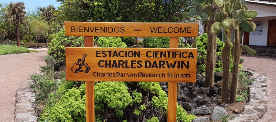 The Charles Darwin Research Station is a tortoise breeding station located on Santa Cruz Island