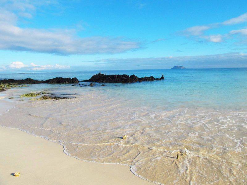 The gorgeous white sand beach, turquoise water and volcanic stone of Las Bachas Beach