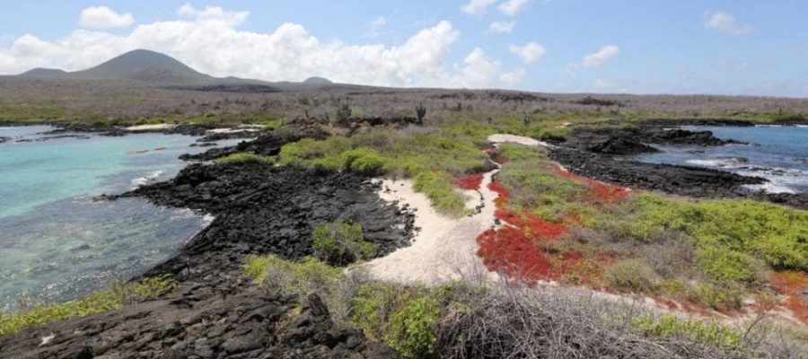 Galapagos island Floreana boasts gorgeous, colourful landscapes