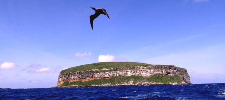 Darwin Island is a remote divers paradise in the Galapagos Islands
