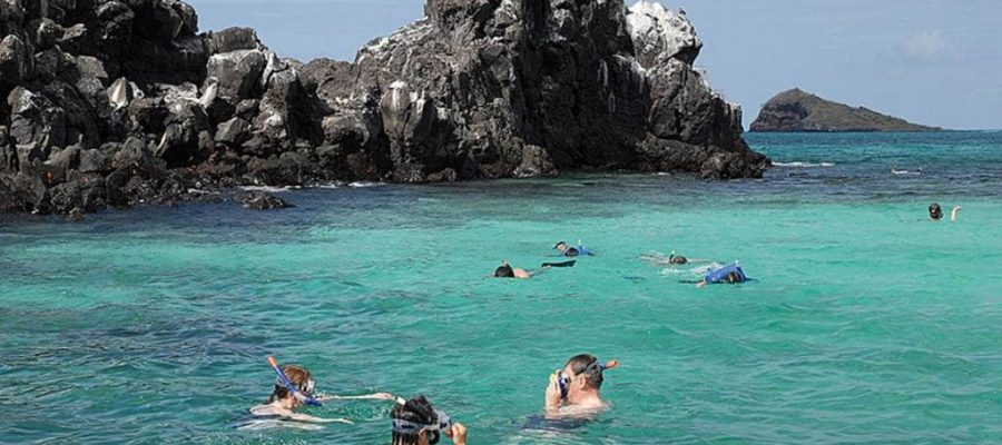 Floreana Island in the Galapagos Islands is the perfect destination for snorkelling