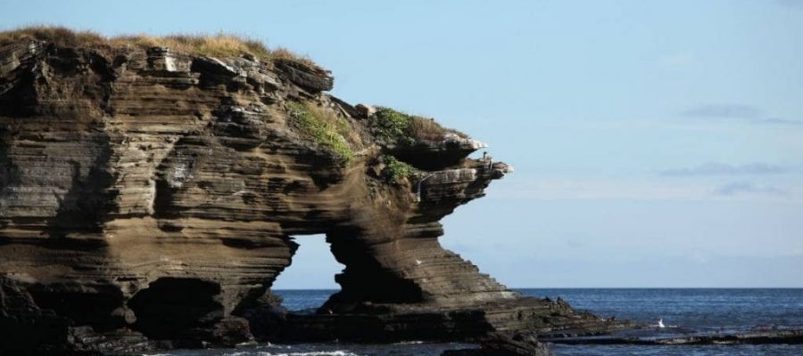 Galapagos Islands is home to special landscapes