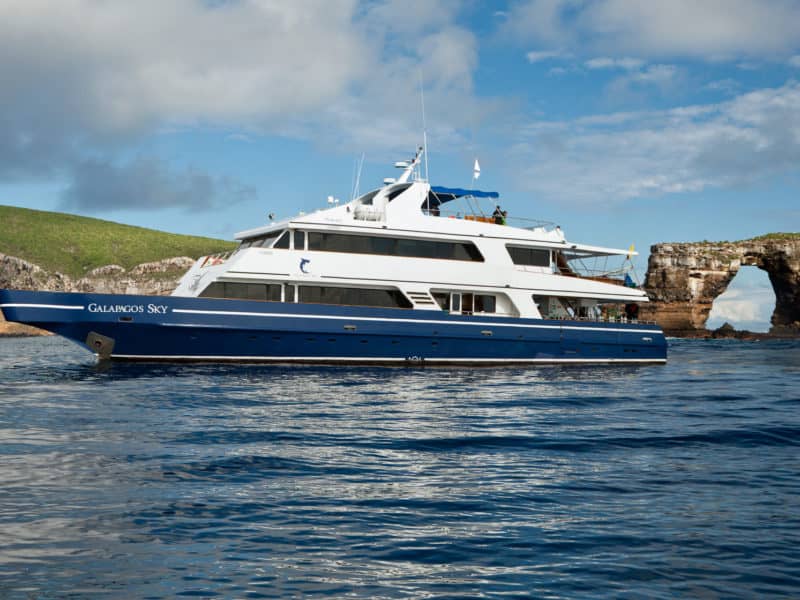 Eine Galapagos Kreuzfahrt und Tauchsafari mit der "Galapagos Sky" erleben