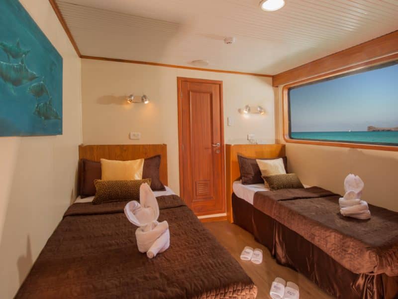 Galapagos PRO Galaxy cabin