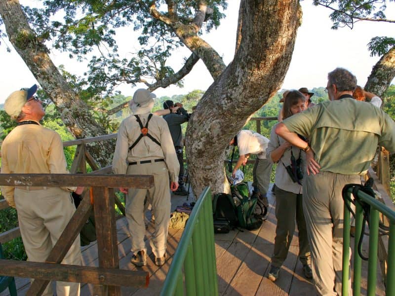 Galapagos PRO Napo Wildlife Center observation tower