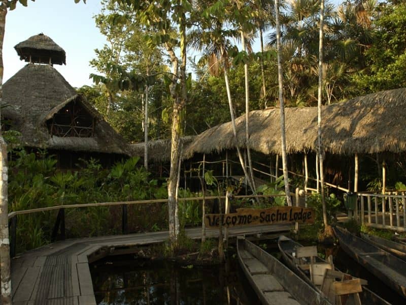 Sacha Lodge im Amazonas Regenwald