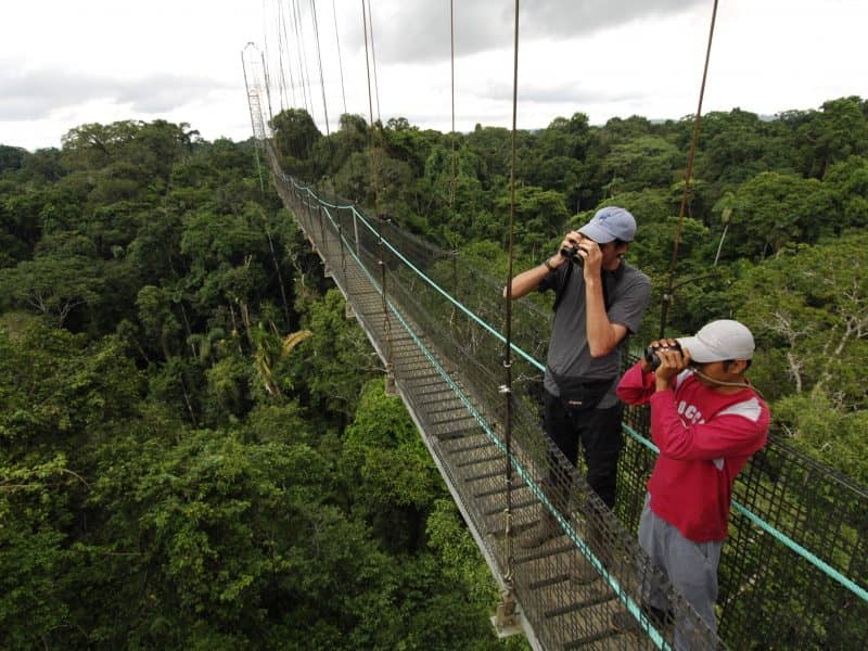 Aktivitäten rund um die Sacha Lodge - Ecuador & Galapagos Luxus-Reisen