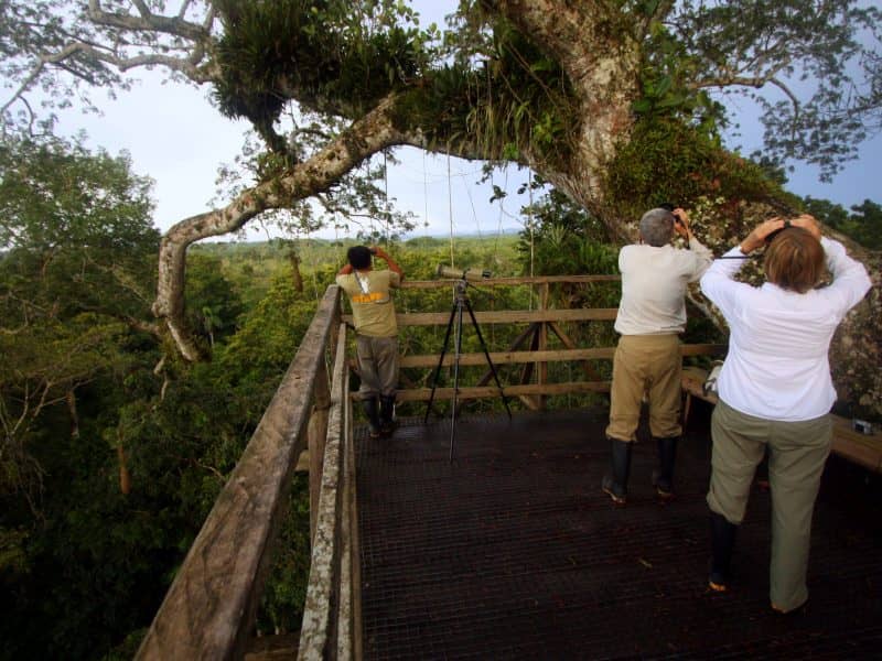 Galapagos PRO Sacha Lodge platform