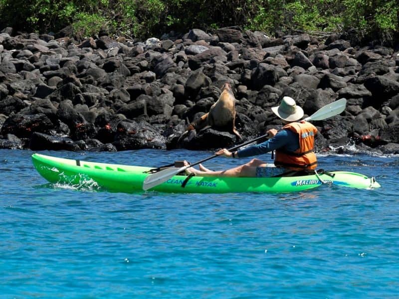 Galapagos PRO Tip Top IV activities