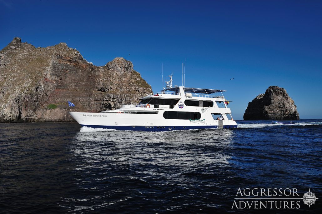 Galapagos-Kreuzfahrt Aggressor - Tauchsafari