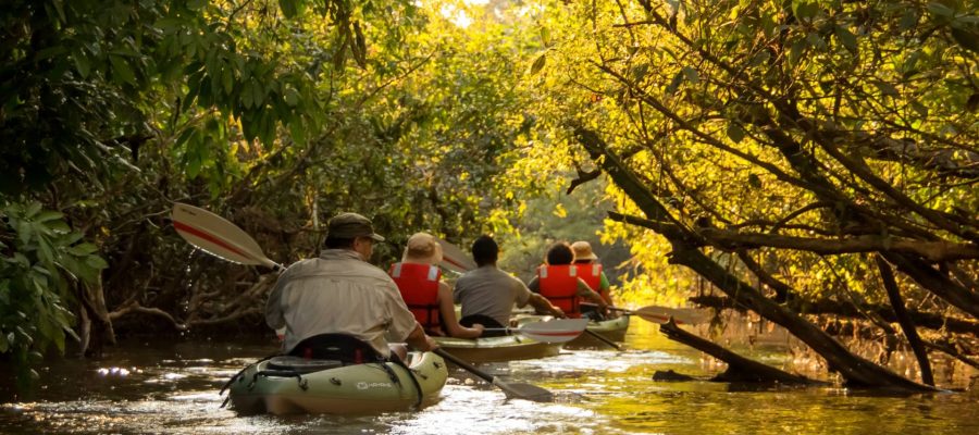 Kayak Tours through the Amazon Rainforest - Ecuador Adventures