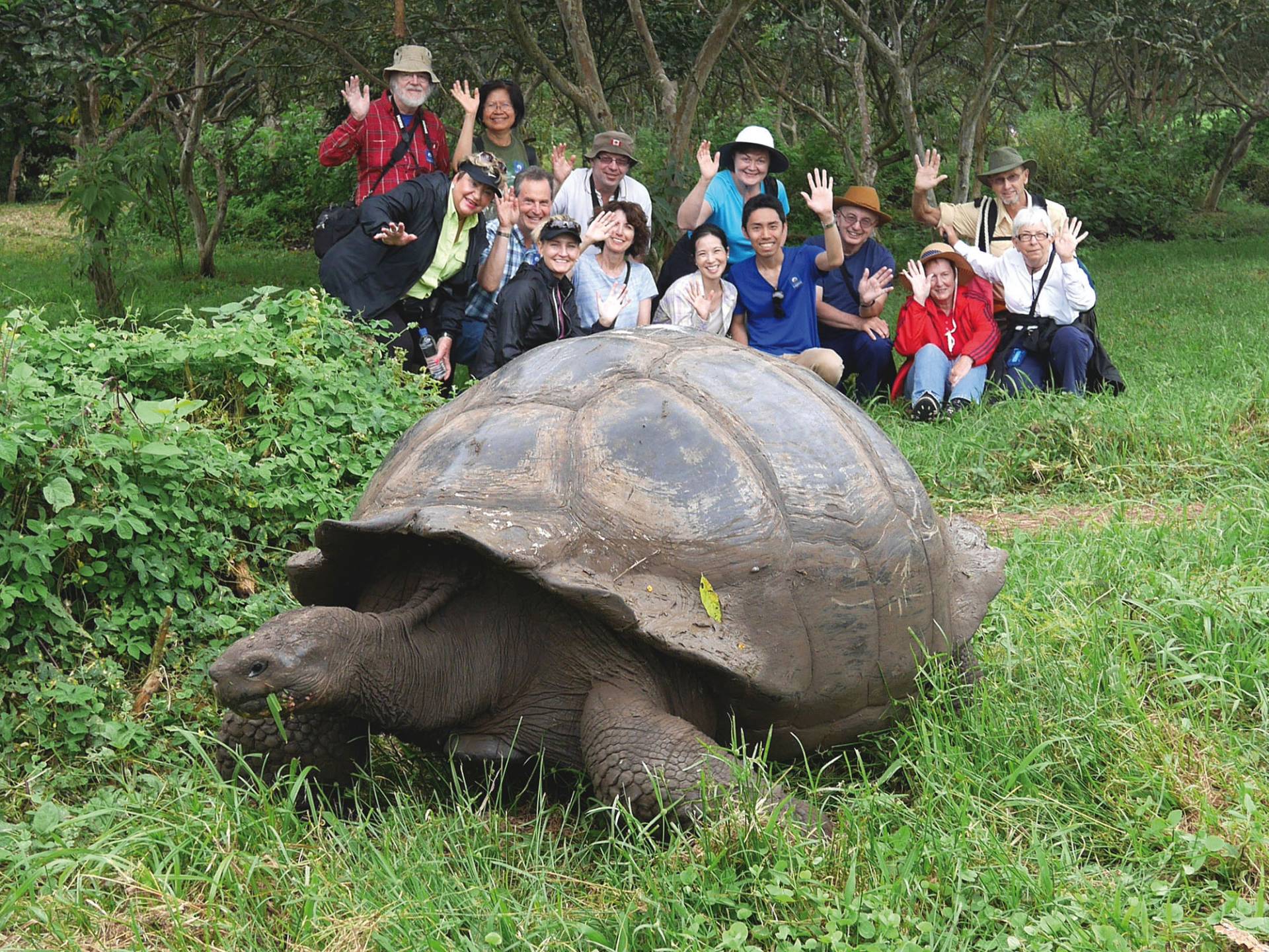 Die faszinierende Tierwelt hautnah entdecken - Ecuador-Galapagos-Gruppenreise