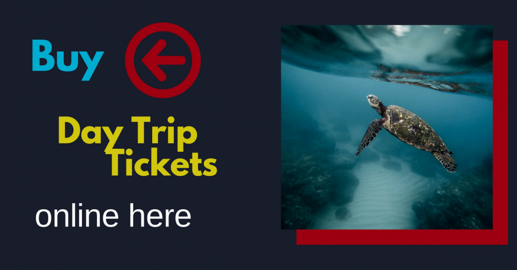 Book here your tickets for day trips in Ecuador and Galapagos