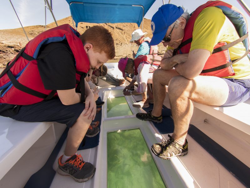 Galapagos-Kreuzfahrt - Machen Sie tolle Entdeckungen während einer Fahrt im Glasbodenboot