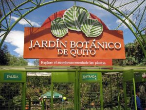 Quito Sehenswürdigkeit - der Botanische Garten