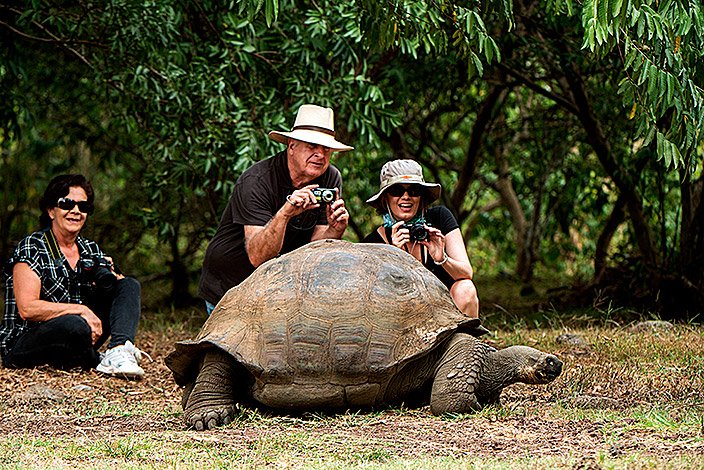 Galapagos Giant Tortoise with Tourist on Santa Cruz Island - Best Galapagos Tours