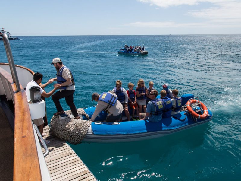Ankunft an Bord der Letty nach einem Ausflug im Galapagos Archipel