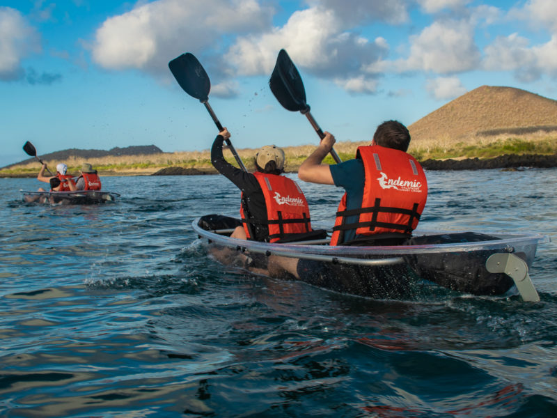 Galapagos cruise Edemic kayaking