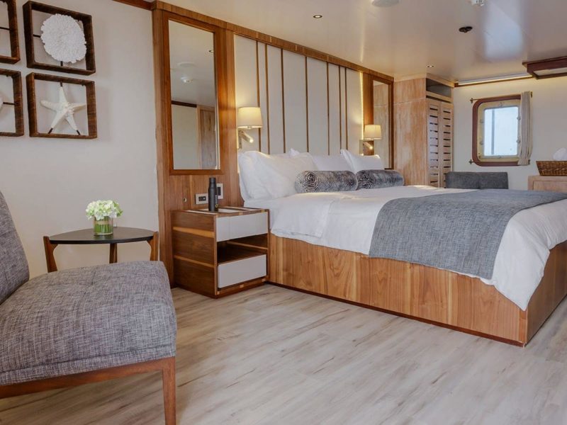 Galapagos cruise Evolution Master Suite