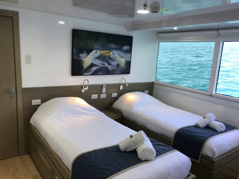 Galapagos cruise Calipso twin cabin