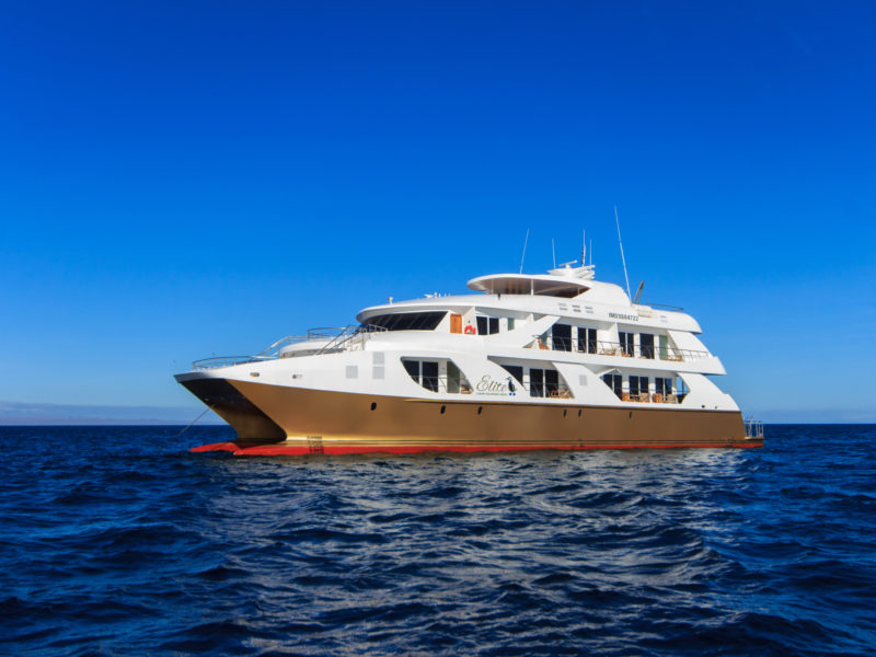 The Elite Catamaran with Galapagos PRO