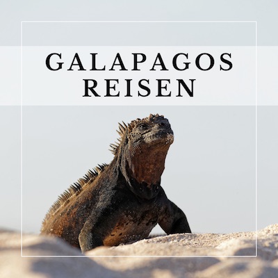 Galapagos