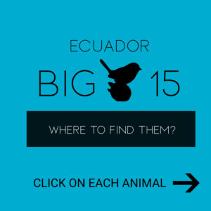 Ecuador Big 15 Collage Sign EN