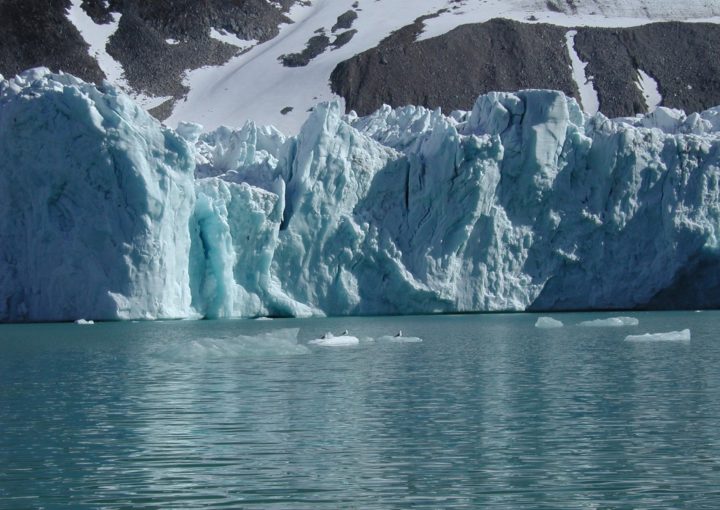 Eisbären mit Galapagos PRO entdecken