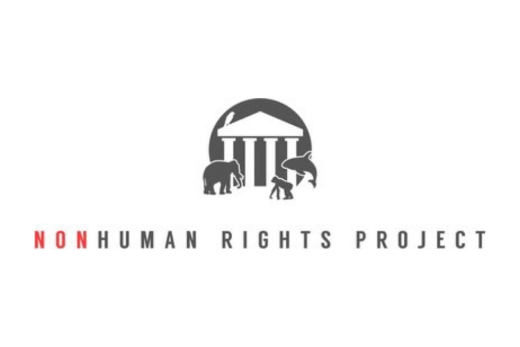 Nonhuman Rights Project